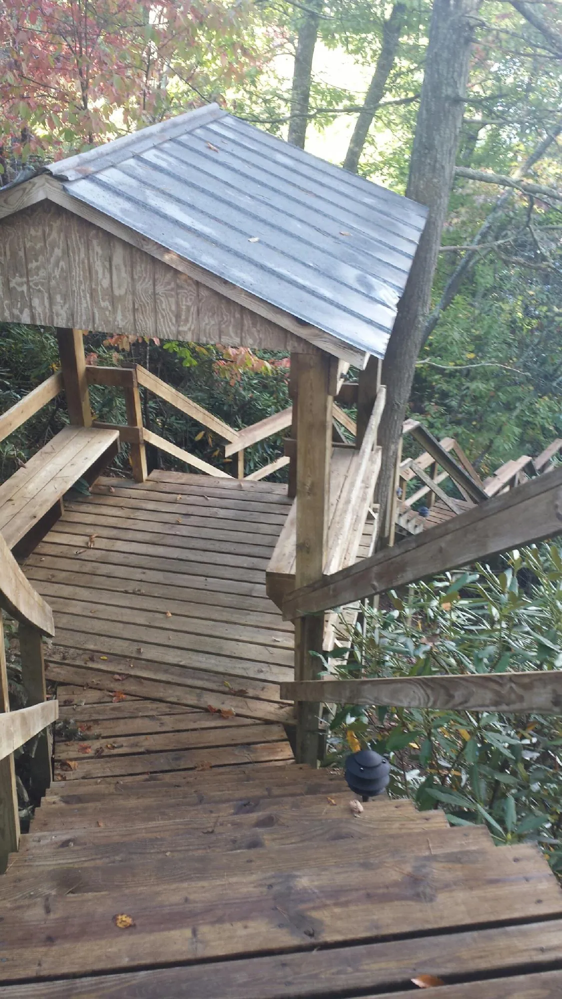 Metal roofed shelter over wooden steps on a wooded walkway — Skylight Repair & Installation work by our crew in Mc Clelland